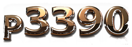 p3390 logo